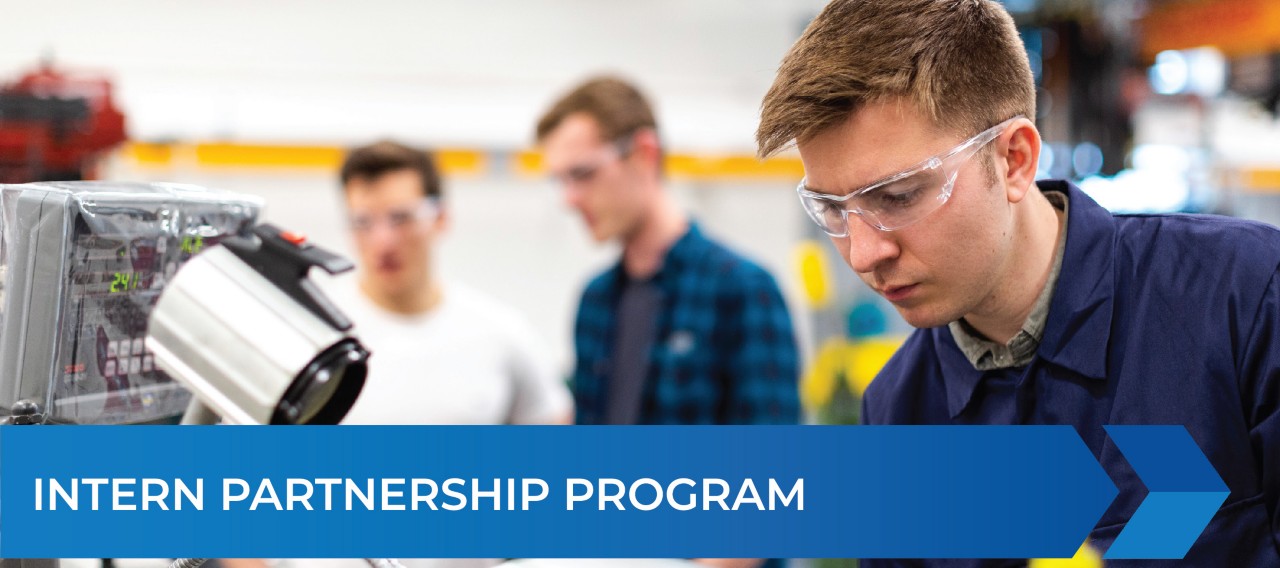 Faculty and Student Intern Partnership Program