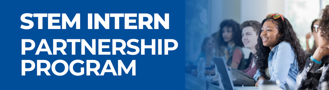 Faculty and Student Intern Partnership Program