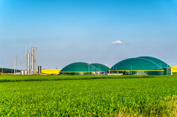 biogas plant in rural area with rapeseed field