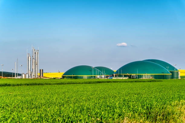 biogas plant in rural area with rapeseed field