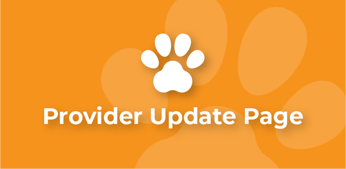 a block image with the text "provider update page"