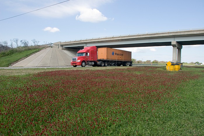 red wildflowers growing in the grassy median of an Oklahoma highway and a link to the annual trash off page
