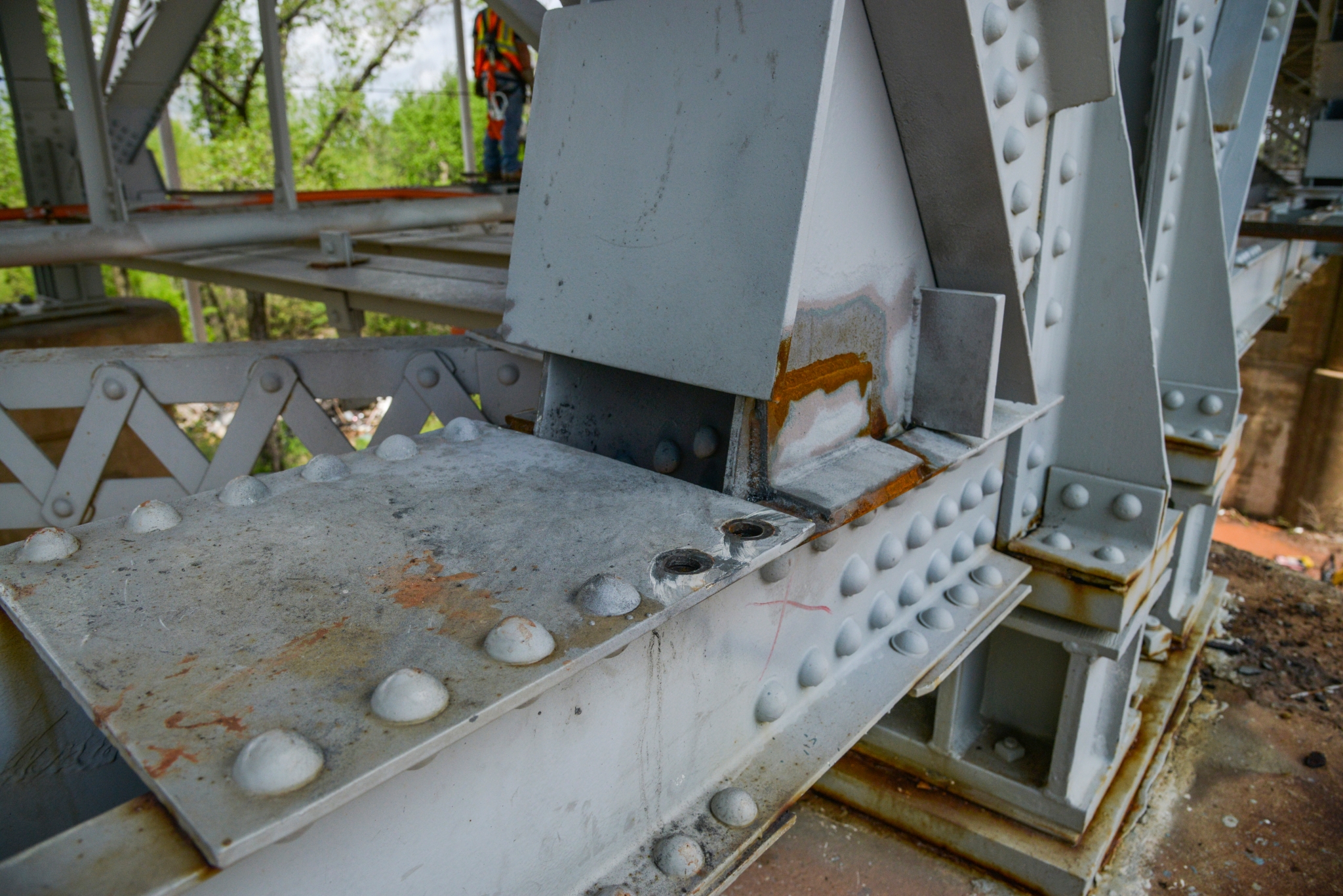 DSC_2674.jpg