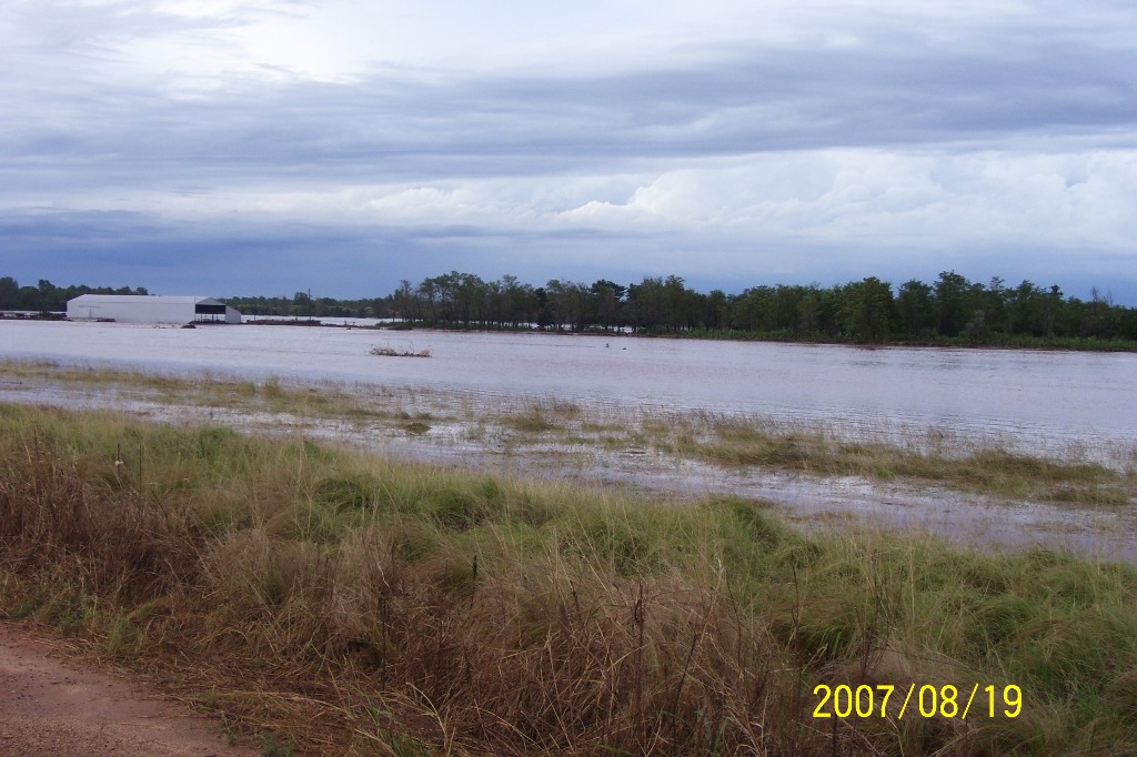 Flooded field