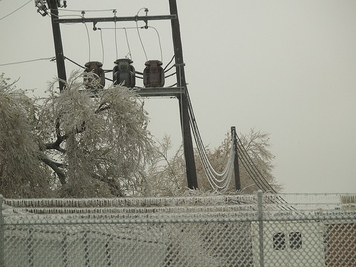 Ice covered trees and power lines