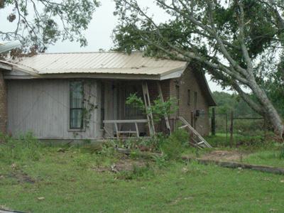 Tree fallen onto home