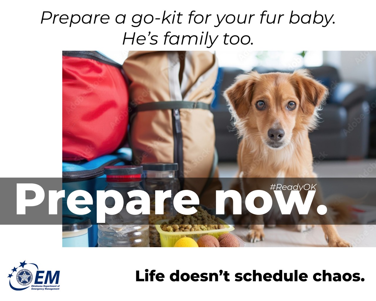 Prepare a go-kit for your fur baby. He’s family too. Prepare Now. Life doesn't schedule chaos. Logo, Oklahoma Department of Emergency Management.