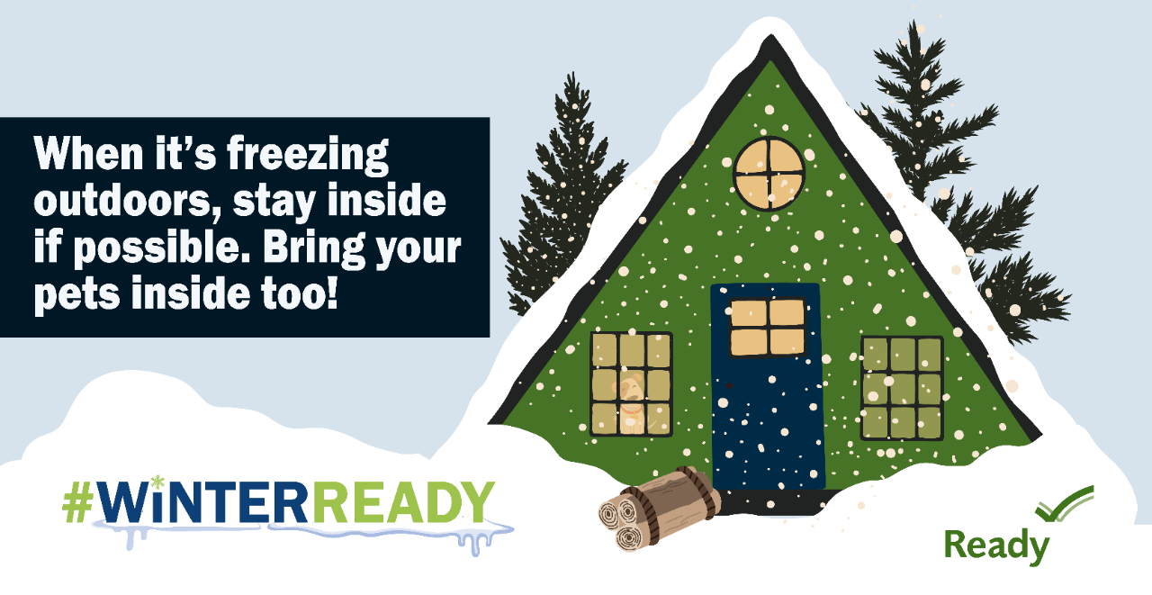 When it's Freezing outdoors, Stay inside if possible. Bring your pets inside too! #WINTERREADY.  CGi drawn a-frame cabin in with a bundle of wood outside the front door, covered with snow. 