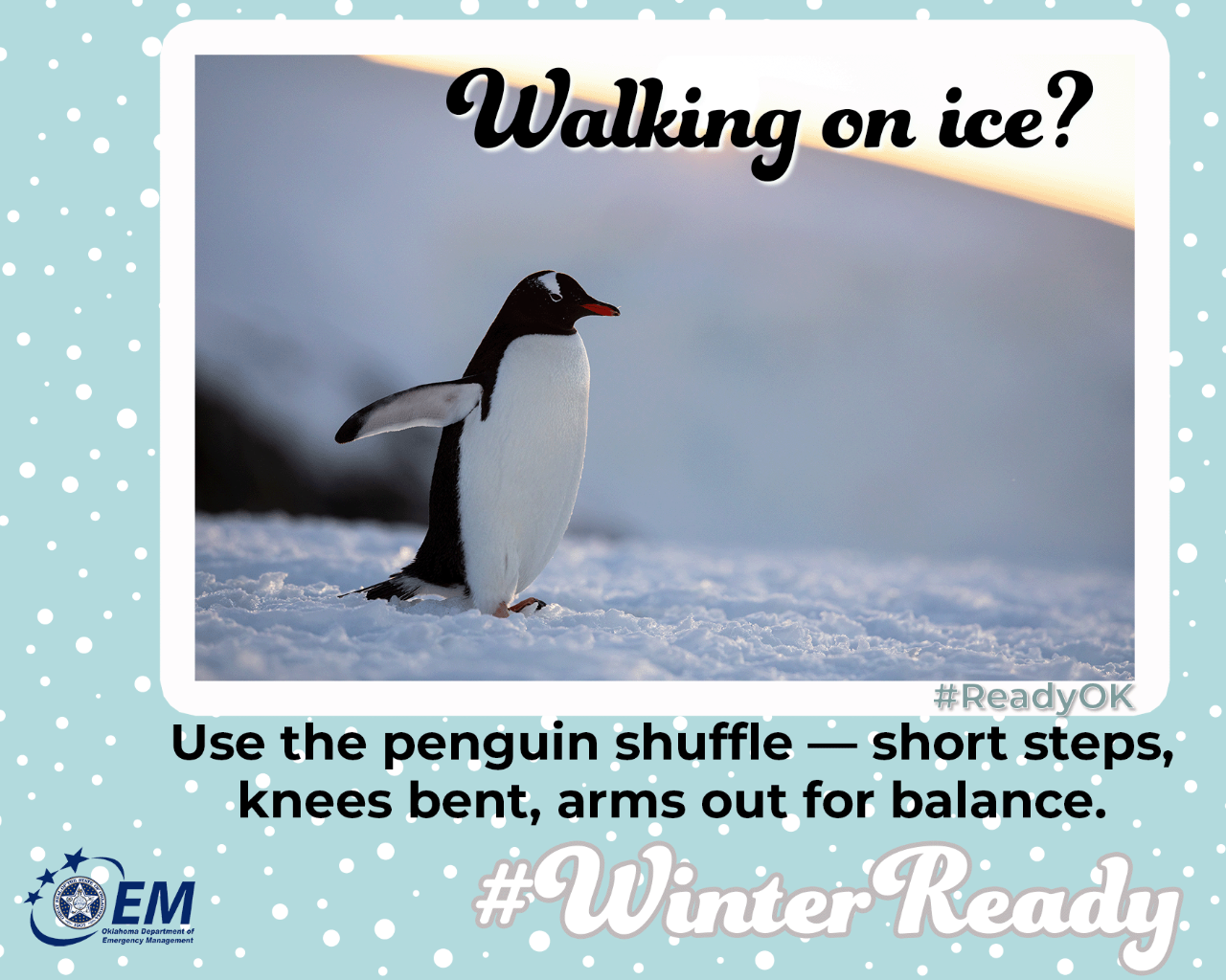 Walking on ice? Use the penguin shuffle - short steps, knees bent, arms out for balance. Image of a penquin.