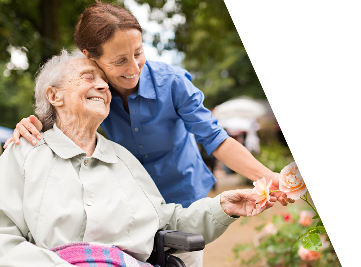 Image for CAP landing home page.