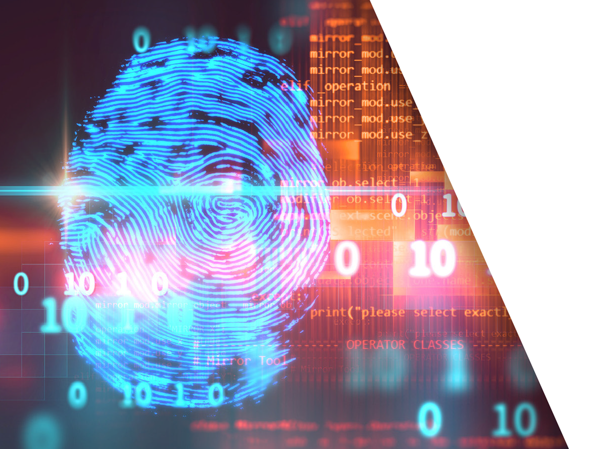 Banner image for "Office of Inspector General" page