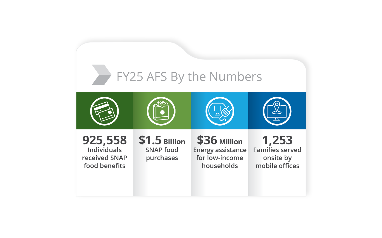 AFS Infographic for Annual Report. 