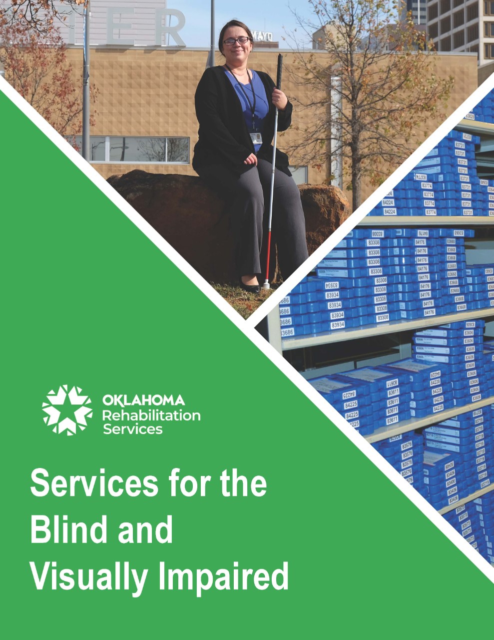 Services for the Blind and Visually Impaired front cover of the brochure