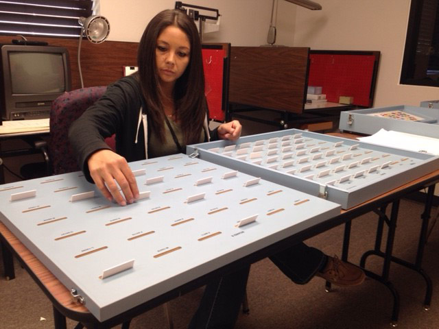 A woman sits in front of a large board placing cards in slots.