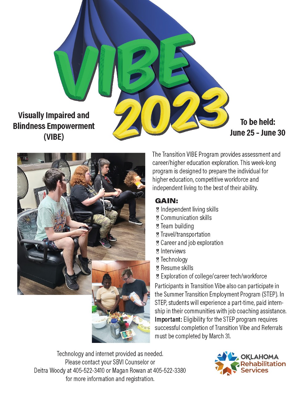 VIBE Flyer