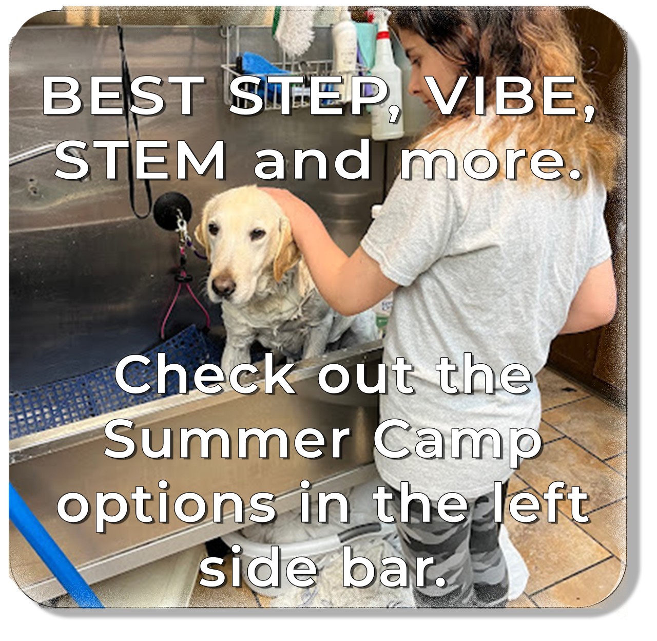 BEST STEP, VIBE, STEM and more. Check out the summer camp options in the left side bar. Background image of a young girl washing a dog. 