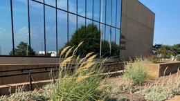 Allen Wright Building Exterior shot of the Allen Wright Memorial Library
