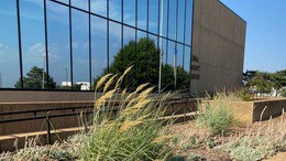 Exterior shot of the Allen Wright Memorial Library