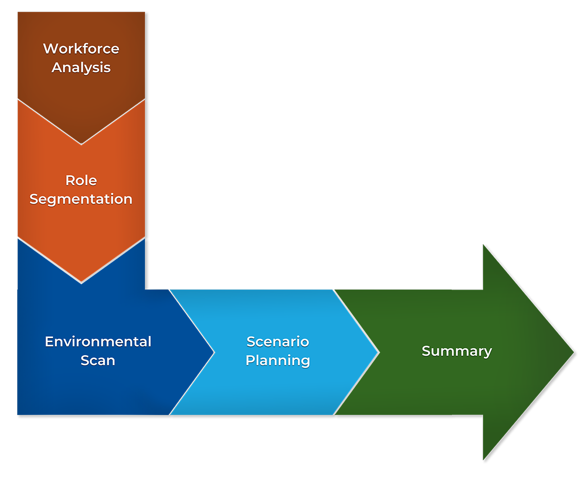 Steps of the Analyze Process: Workforce analysis, Role Segmentation, Environmental Scan, Scenario Planning, and Summary.