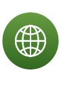 Website Icon