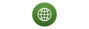 Website Icon