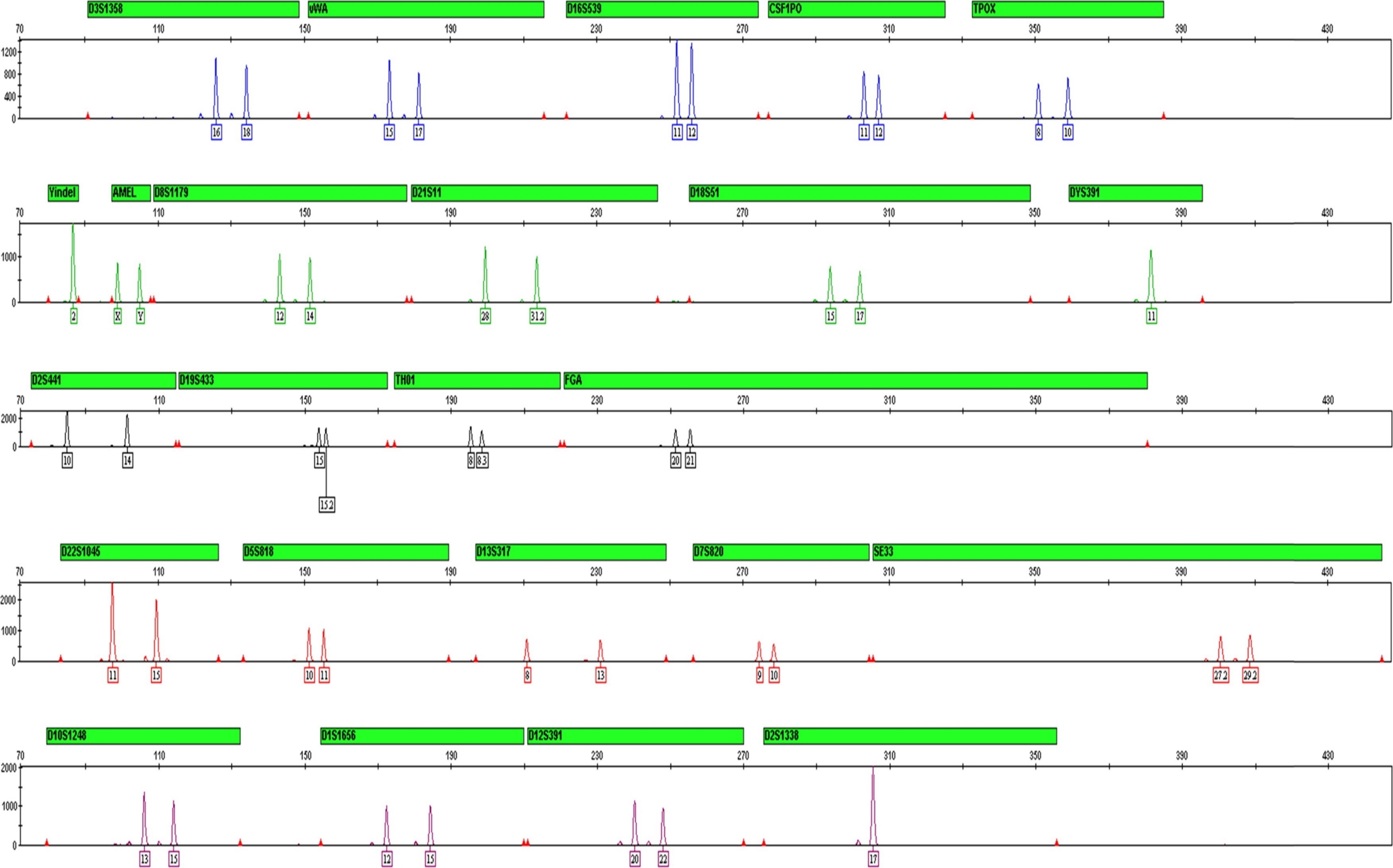 sample dna results