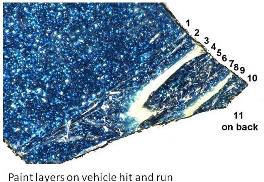 paint trace evidence image