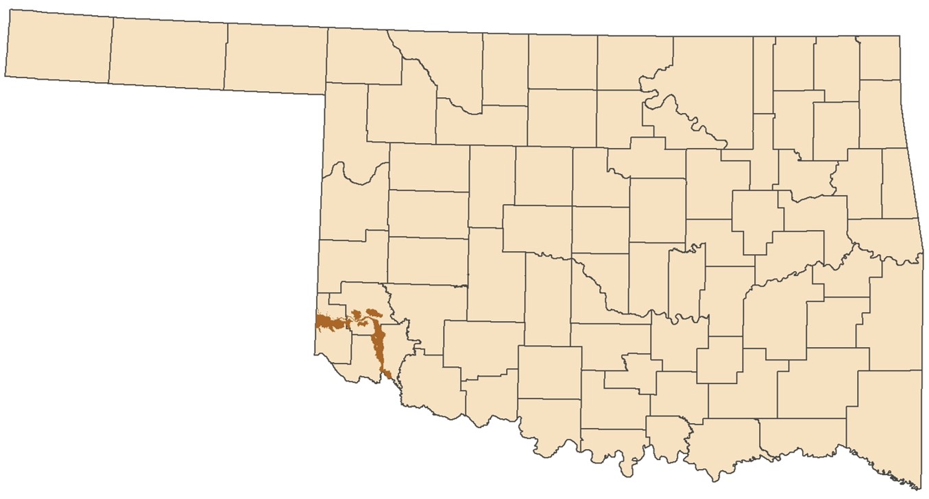 Salt Fork of the Red River Aquifer Salt Fork of the Red River Aquifer