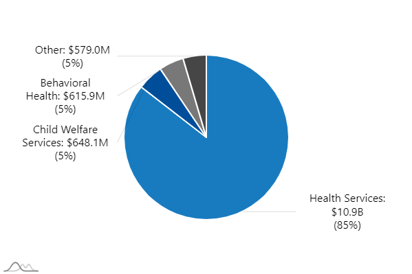 Health Pie Chart indicating: "Health Services: $7.1B (77%), COVID-19: $685.8M (7%), Child Welfare Services: $559.4M (6%), Behavioral Health: $470.0M (5%), Other: $420.0M (5%)